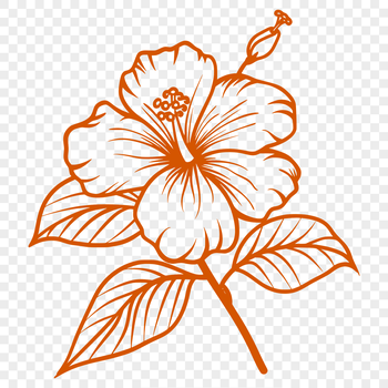 A detailed illustration of a hibiscus flower with layered petals.