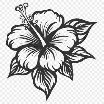Illustration of a hibiscus flower with detailed petals and center.