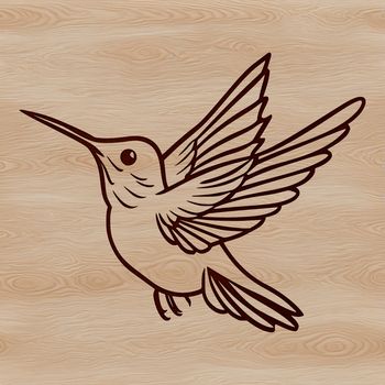 Illustration of a colorful hummingbird in flight, showcasing its unique feathers and wingspan.