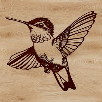 Close-up illustration of a vibrant hummingbird perched on a branch.