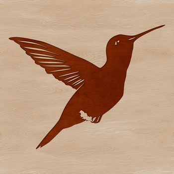 A colorful bird with iridescent feathers in mid-flight, symbolizing freedom and agility.