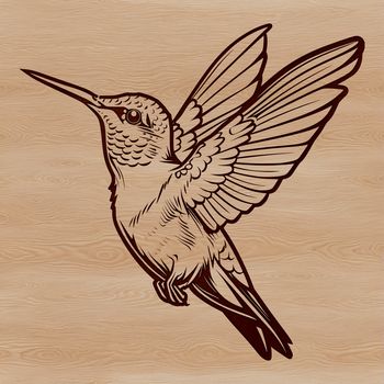 A colorful bird with iridescent feathers and long beak in mid-air flight.