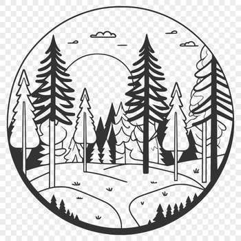 A lush forest landscape with tall trees and underbrush, ideal for vector design projects.