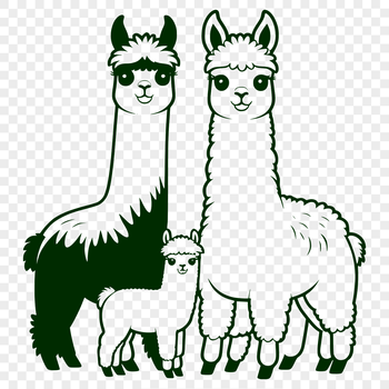 A high-quality digital image of a friendly alpaca.