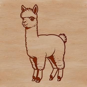 High-quality vector illustration of a South American camelid alpaca in a neutral background.