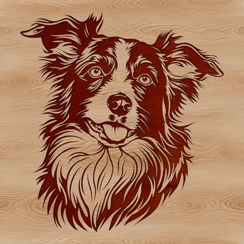 An illustration of a friendly Australian Shepherd dog with its head turned slightly to the side.