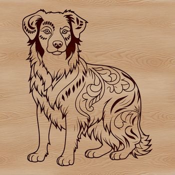 An illustration of a standing Australian Shepherd dog breed with detailed features.