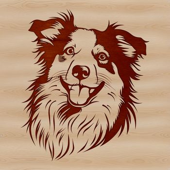 Vector illustration of a Australian Shepherd dog's head with detailed features.