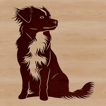 A breed-specific illustration of a calm Australian Shepherd sitting on its haunches.