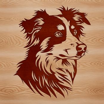 Close-up vector illustration of an Australian Shepherd's head with detailed facial features and fur texture.