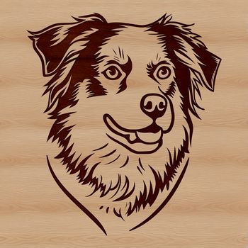 Illustrated Australian Shepherd dog breed portrait in vector format.