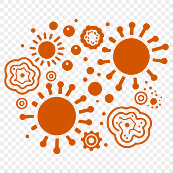 A microscopic illustration of a bacteria cell with its cell membrane and genetic material.