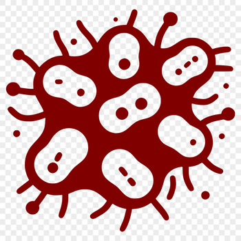 An illustration of a single bacterial cell in outline form.