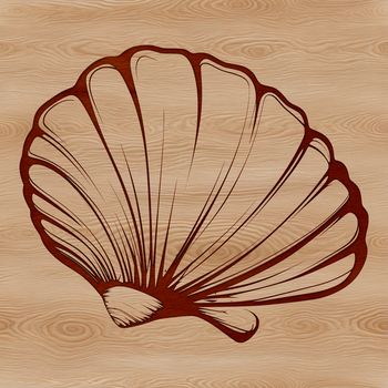 Seashell illustration in a digital format, suitable for various creative projects and designs.