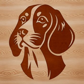 A Beagle's head with floppy ears and a friendly expression.