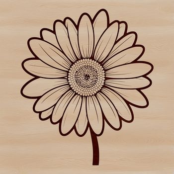 A free SVG daisy graphic suitable for various digital applications.