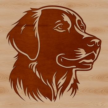 A vector graphic illustration of a Golden Retriever's head, suitable for various design applications.