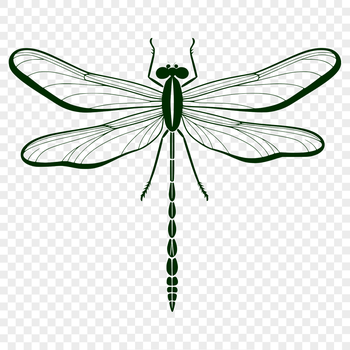 A detailed illustration of a dragonfly in motion, created as a scalable vector graphic (SVG) design.