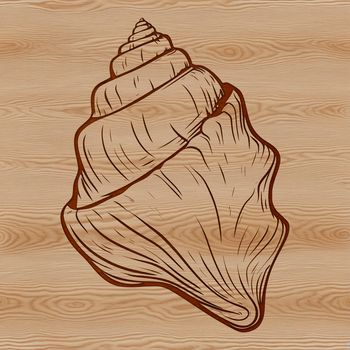 An isolated vector graphic of a seaside-themed seashell design suitable for commercial or personal projects.