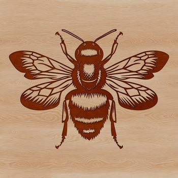 A detailed illustration of a honeybee in mid-flight, suitable for vector design and commercial or personal use.