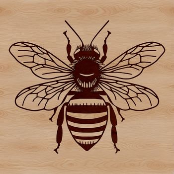A stylized illustration of a bee with a body and wings, suitable for graphic design and digital art projects.