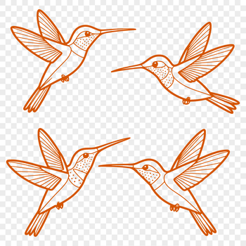 A vibrant illustration of a hummingbird in flight, designed as a vector graphic for various digital applications.