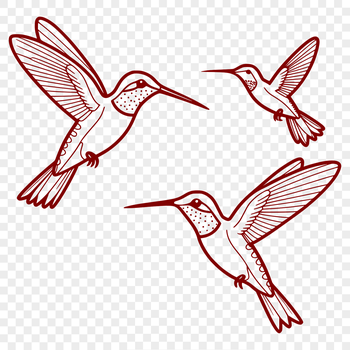 A colorful illustration of a hummingbird in flight, suitable for vector graphics and digital design projects.