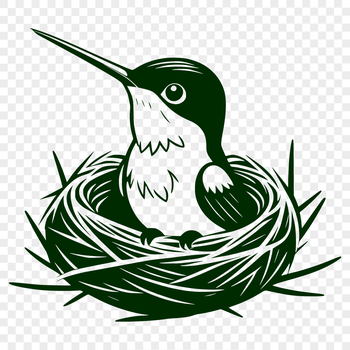 Illustrated hummingbird in flight, a vector graphic for digital design and printing.