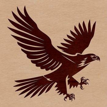Illustration of a soaring eagle in flight, a majestic wild bird with outstretched wings.