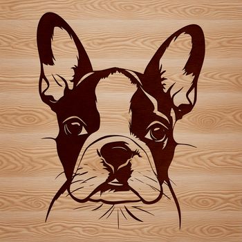 A portrait illustration of a Boston Terrier's head.