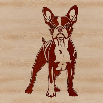 A standing dog breed illustration, created as a vector graphic.