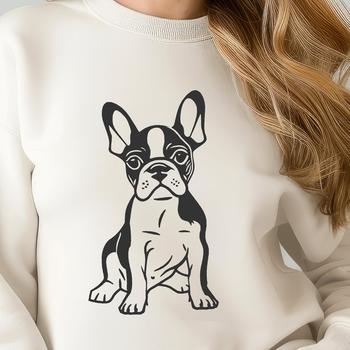 A sitting Boston Terrier dog breed, suitable for vector design and cutting machine projects.