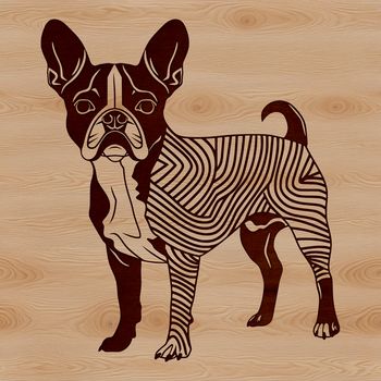 Vector illustration of a standing Boston Terrier dog breed, suitable for digital art and crafts.