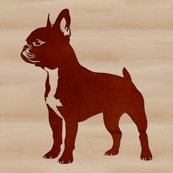 A standing Boston Terrier breed dog with its distinctive coat pattern, ideal for custom vector design and art projects.