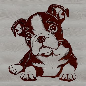 A cartoon-style illustration of a relaxed Boston Terrier lying down.