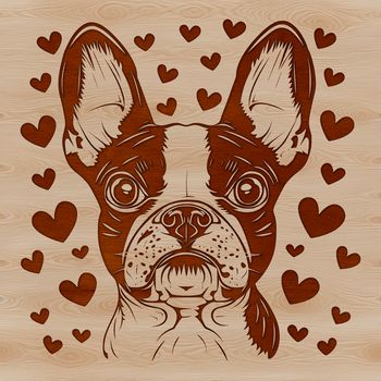 A detailed illustration of a Boston Terrier's head with heart shapes incorporated into its fur.