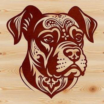 Close-up illustration of a Boxer dog's head with ornate details.