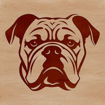 A close-up of a bulldog's head with wrinkled skin and a flat face.