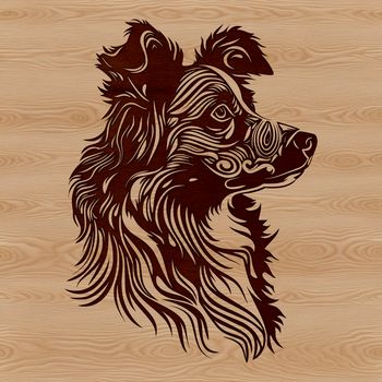 An accurate vector drawing of the face of an Australian Shepherd breed of dog.
