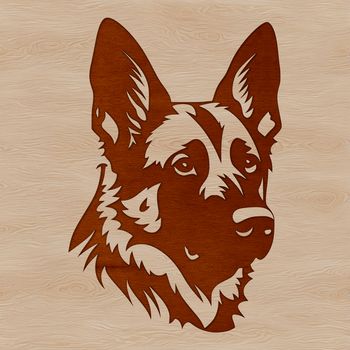 A regal German shepherd breed dog with a distinctive head shape and floppy ears.