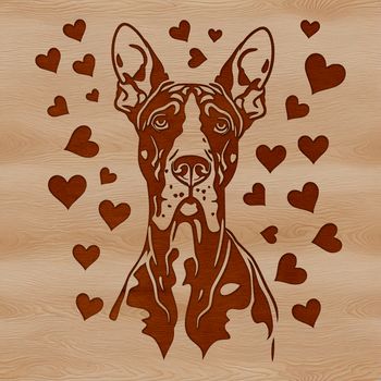 A detailed illustration of a Great Dane's head with heart accents.