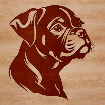 A dog breed illustration of a Boxer's head, suitable for vector design and cutting machine stencils.