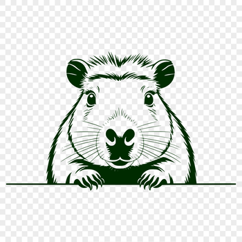 Illustration of a capybara peeking out from behind foliage.