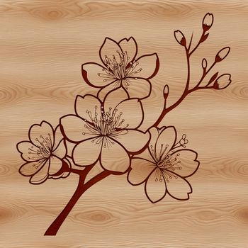 A single cherry blossom with delicate pink petals against a green branch.