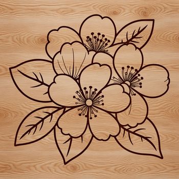 A detailed illustration of a single cherry blossom in bloom, suitable for vector graphic design and cutting machine projects.