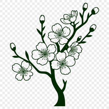 Illustrative cherry blossom flower with delicate petals, suitable for vector art design projects.