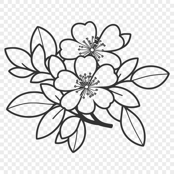 An intricately designed vector representation of a single cherry blossom flower.