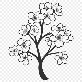 A colorful illustration of a single cherry blossom flower in full bloom.