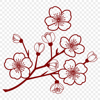 A detailed vector illustration of a cherry blossom flower in bloom.