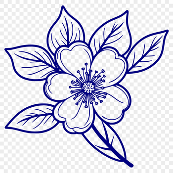 A detailed illustration of a cherry blossom in bloom, suitable for vector graphics and commercial or personal use.